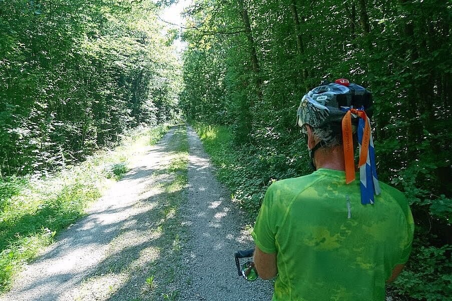 Waldweg