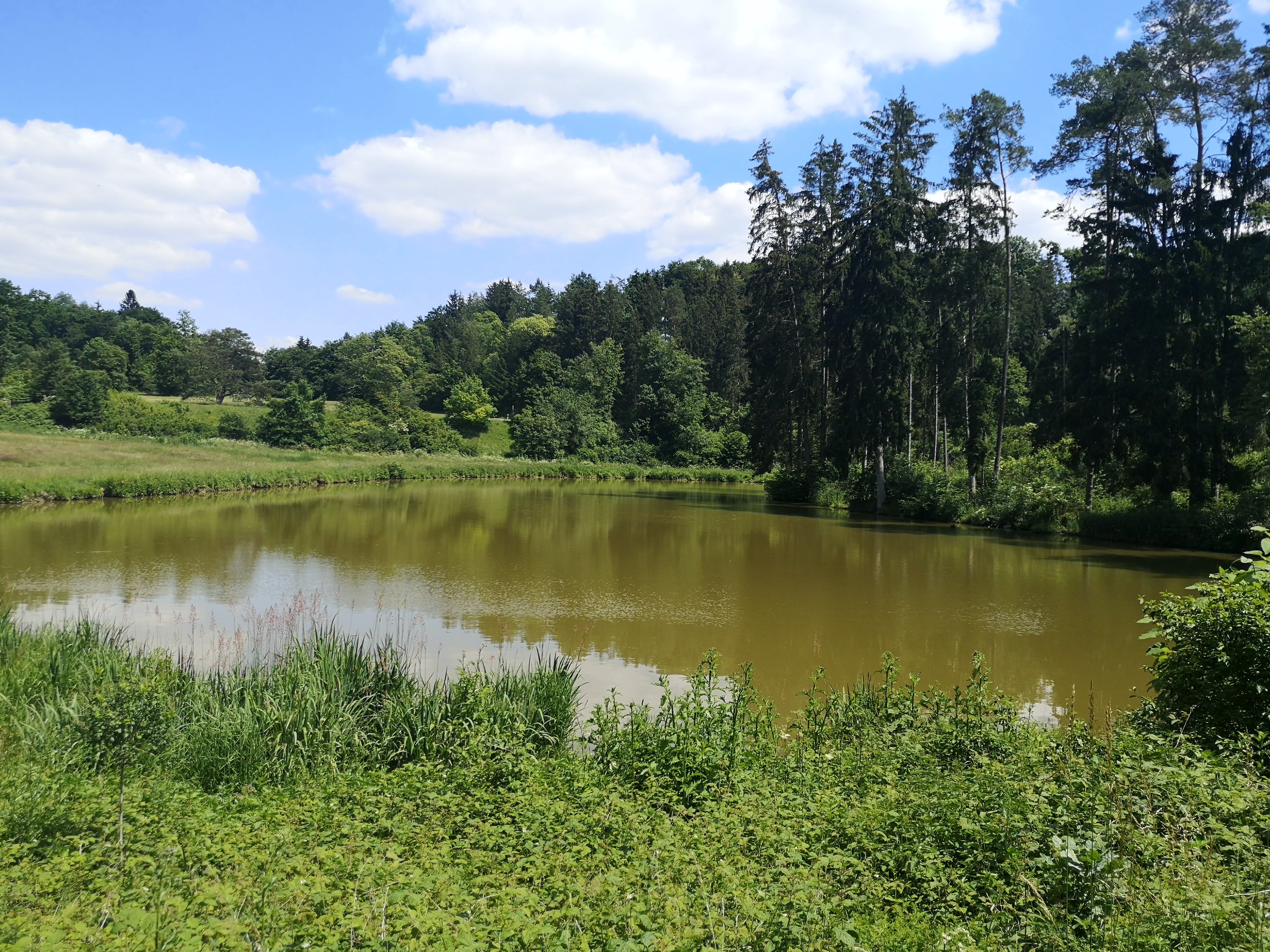 gestaute Gailach bei Warching